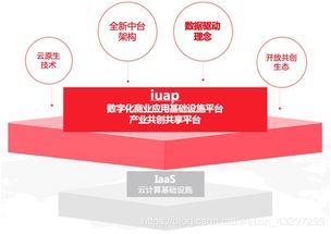 解读企业数字化中台的应用服务