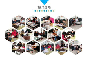 农用小型挖掘机实用指南 价格、图片参数与应用服务详解